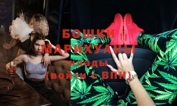 ГАЛЛЮЦИНОГЕННЫЕ ГРИБЫ Козловка