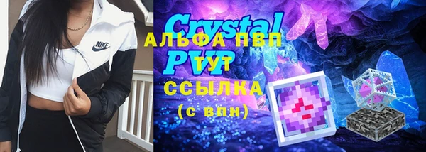 ГАЛЛЮЦИНОГЕННЫЕ ГРИБЫ Лабытнанги