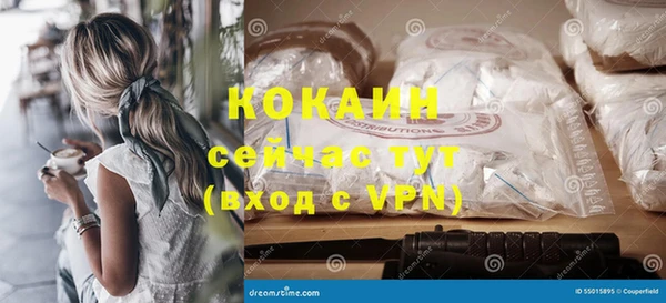 молекула духа Бронницы