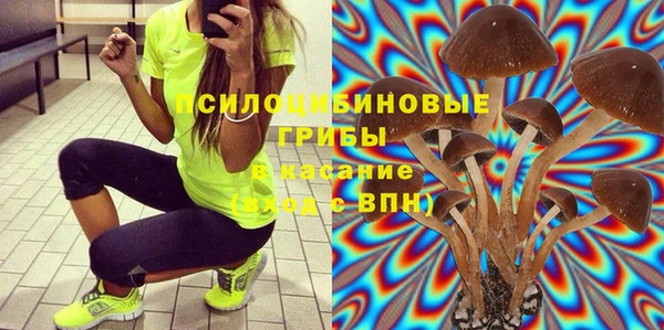 молекула духа Бронницы