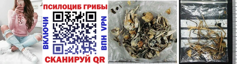 даркнет формула Княгинино Галлюциногенные грибы Psilocybe